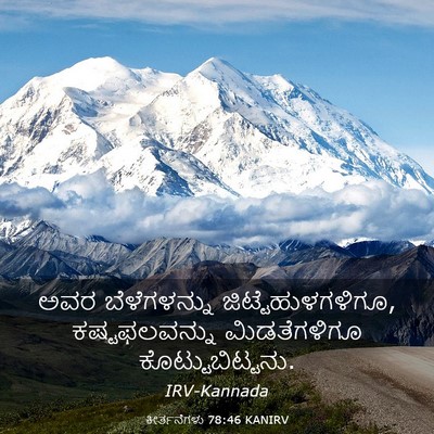 Picture 03 - ಕೀರ್ತನೆಗಳು 78:46 KANIRV - ಅವರ ಬೆಳೆಗಳನ್ನು - Bible Verse Picture