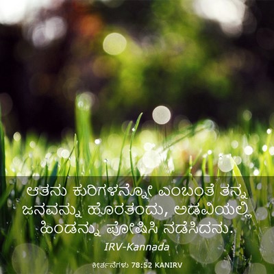 Picture 03 - ಕೀರ್ತನೆಗಳು 78:52 KANIRV - ಆತನು ಕುರಿಗಳನ್ನೋ - Bible Verse Picture