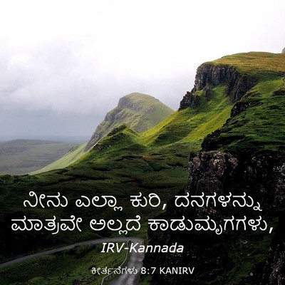 Picture 03 - ಕೀರ್ತನೆಗಳು 8:7 KANIRV - ನೀನು ಎಲ್ಲಾ ಕುರಿ, - Bible Verse Picture