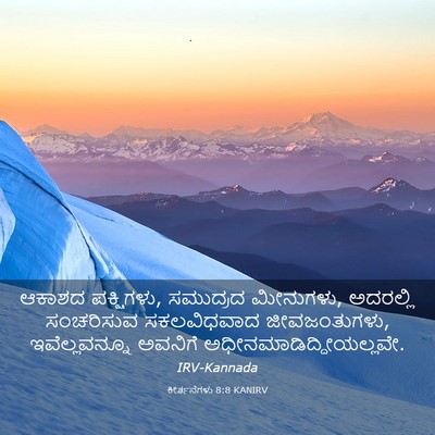 Picture 03 - ಕೀರ್ತನೆಗಳು 8:8 KANIRV - ಆಕಾಶದ ಪಕ್ಷಿಗಳು, - Bible Verse Picture