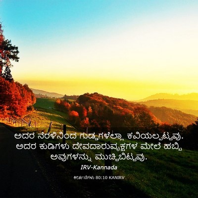 Picture 03 - ಕೀರ್ತನೆಗಳು 80:10 KANIRV - ಅದರ ನೆರಳಿನಿಂದ - Bible Verse Picture