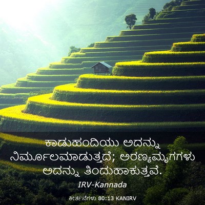Picture 03 - ಕೀರ್ತನೆಗಳು 80:13 KANIRV - ಕಾಡುಹಂದಿಯು ಅದನ್ನು - Bible Verse Picture