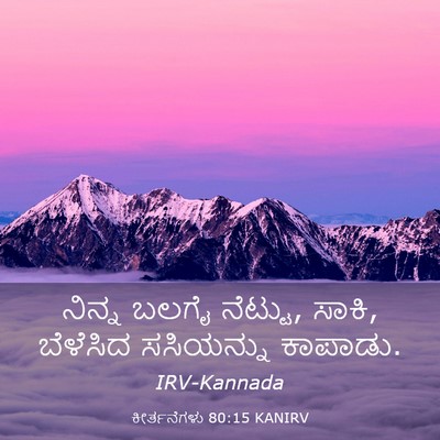 Picture 03 - ಕೀರ್ತನೆಗಳು 80:15 KANIRV - ನಿನ್ನ ಬಲಗೈ ನೆಟ್ಟು, - Bible Verse Picture