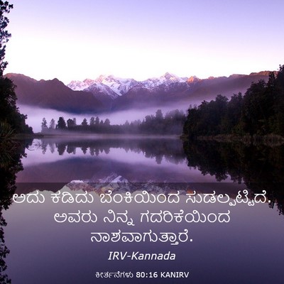 Picture 03 - ಕೀರ್ತನೆಗಳು 80:16 KANIRV - ಅದು ಕಡಿದು - Bible Verse Picture