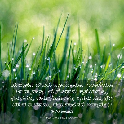 Picture 03 - ಕೀರ್ತನೆಗಳು 84:11 KANIRV - ಯೆಹೋವ ದೇವರು - Bible Verse Picture