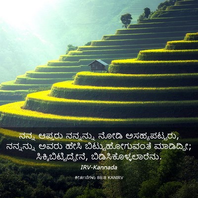 Picture 03 - ಕೀರ್ತನೆಗಳು 88:8 KANIRV - ನನ್ನ ಆಪ್ತರು - Bible Verse Picture