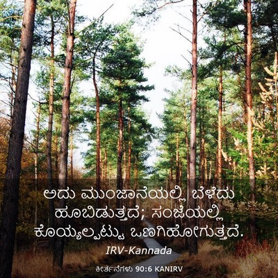 Picture 03 - ಕೀರ್ತನೆಗಳು 90:6 KANIRV - ಅದು ಮುಂಜಾನೆಯಲ್ಲಿ - Bible Verse Picture
