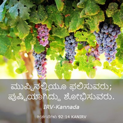 Picture 03 - ಕೀರ್ತನೆಗಳು 92:14 KANIRV - ಮುಪ್ಪಿನಲ್ಲಿಯೂ - Bible Verse Picture