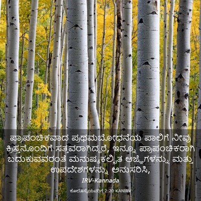 Picture 03 - ಕೊಲೊಸ್ಸೆಯವರಿಗೆ 2:20 KANIRV - ಪ್ರಾಪಂಚಿಕವಾದ - Bible Verse Picture