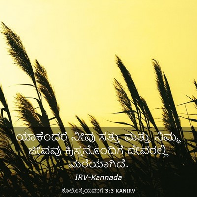 Picture 03 - ಕೊಲೊಸ್ಸೆಯವರಿಗೆ 3:3 KANIRV - ಯಾಕೆಂದರೆ ನೀವು - Bible Verse Picture