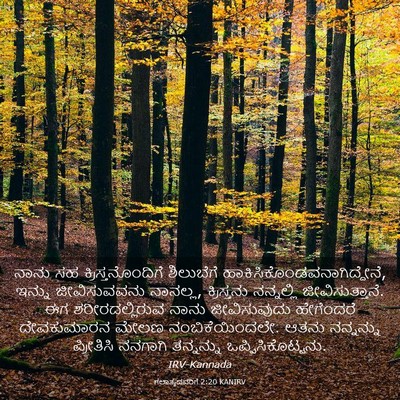 Picture 03 - ಗಲಾತ್ಯದವರಿಗೆ 2:20 KANIRV - ನಾನು ಸಹ - Bible Verse Picture