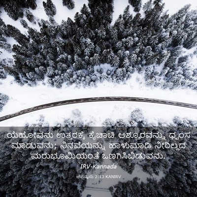 Picture 03 - ಚೆಫನ್ಯನು 2:13 KANIRV - ಯೆಹೋವನು ಉತ್ತರಕ್ಕೆ - Bible Verse Picture