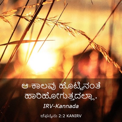 Picture 03 - ಚೆಫನ್ಯನು 2:2 KANIRV - ಆ ಕಾಲವು - Bible Verse Picture