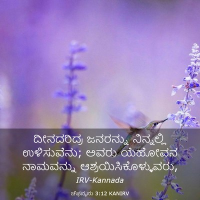 Picture 03 - ಚೆಫನ್ಯನು 3:12 KANIRV - ದೀನದರಿದ್ರ ಜನರನ್ನು - Bible Verse Picture