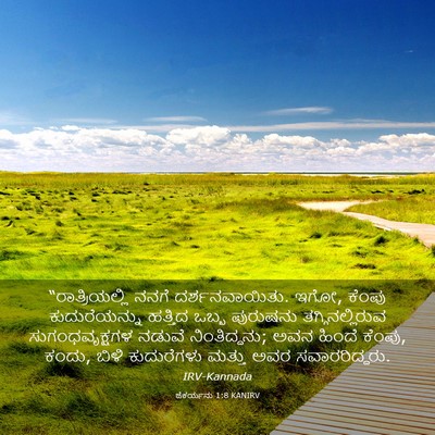 Picture 03 - ಜೆಕರ್ಯನು 1:8 KANIRV - “ರಾತ್ರಿಯಲ್ಲಿ ನನಗೆ - Bible Verse Picture