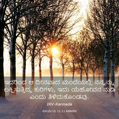 Picture 03 - ಜೆಕರ್ಯನು 11:11 KANIRV - ಇದರಿಂದ ಆ ದೀನವಾದ - Bible Verse Picture