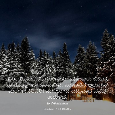 Picture 03 - ಜೆಕರ್ಯನು 11:2 KANIRV - ತುರಾಯಿ ಮರವೇ, - Bible Verse Picture