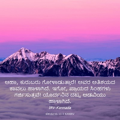 Picture 03 - ಜೆಕರ್ಯನು 11:3 KANIRV - ಆಹಾ, ಕುರುಬರು - Bible Verse Picture