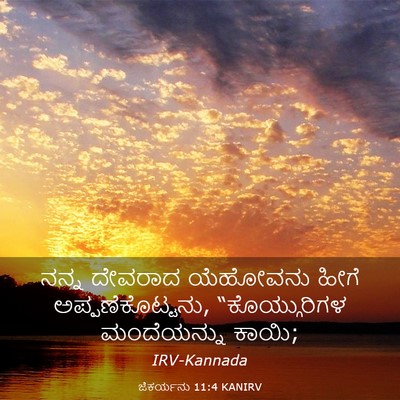 Picture 03 - ಜೆಕರ್ಯನು 11:4 KANIRV - ನನ್ನ ದೇವರಾದ - Bible Verse Picture