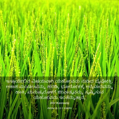 Picture 03 - ಜೆಕರ್ಯನು 12:1 KANIRV - ಇಸ್ರಾಯೇಲಿನ - Bible Verse Picture