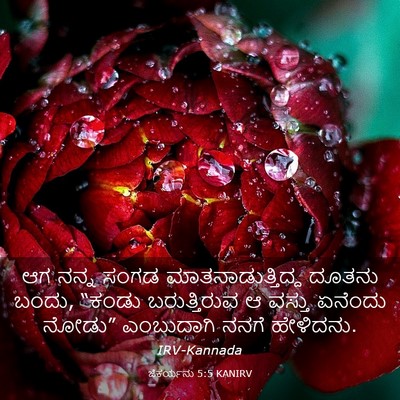 Picture 03 - ಜೆಕರ್ಯನು 5:5 KANIRV - ಆಗ ನನ್ನ ಸಂಗಡ - Bible Verse Picture