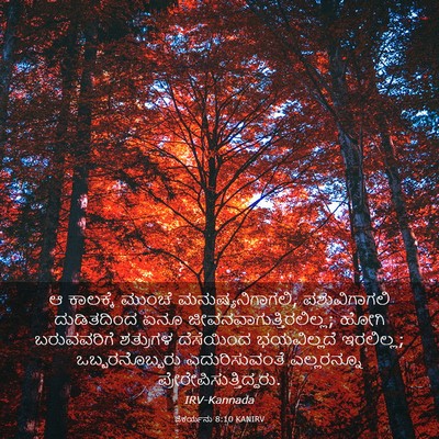 Picture 03 - ಜೆಕರ್ಯನು 8:10 KANIRV - ಆ ಕಾಲಕ್ಕೆ ಮುಂಚೆ - Bible Verse Picture