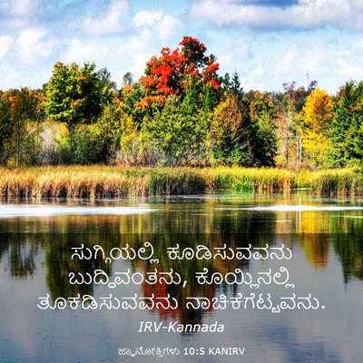 Picture 03 - ಜ್ಞಾನೋಕ್ತಿಗಳು 10:5 KANIRV - ಸುಗ್ಗಿಯಲ್ಲಿ - Bible Verse Picture