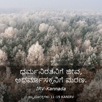 Picture 03 - ಜ್ಞಾನೋಕ್ತಿಗಳು 11:19 KANIRV - ಧರ್ಮನಿರತನಿಗೆ ಜೀವ, - Bible Verse Picture