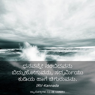 Picture 03 - ಜ್ಞಾನೋಕ್ತಿಗಳು 11:28 KANIRV - ಧನವನ್ನೇ ನಂಬಿದವನು - Bible Verse Picture