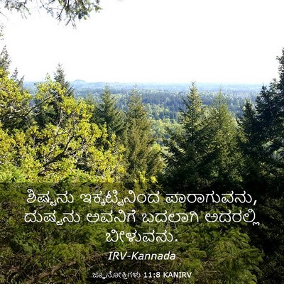 Picture 03 - ಜ್ಞಾನೋಕ್ತಿಗಳು 11:8 KANIRV - ಶಿಷ್ಟನು - Bible Verse Picture