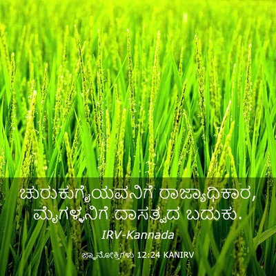 Picture 03 - ಜ್ಞಾನೋಕ್ತಿಗಳು 12:24 KANIRV - ಚುರುಕುಗೈಯವನಿಗೆ - Bible Verse Picture