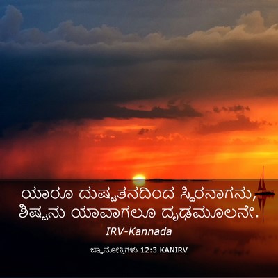Picture 03 - ಜ್ಞಾನೋಕ್ತಿಗಳು 12:3 KANIRV - ಯಾರೂ ದುಷ್ಟತನದಿಂದ - Bible Verse Picture