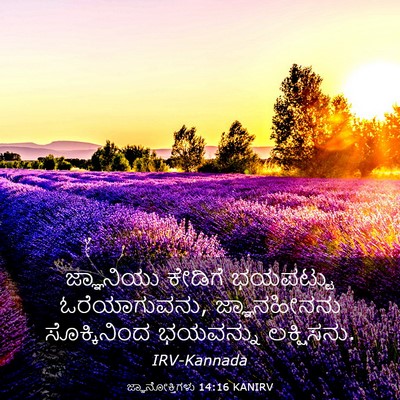 Picture 03 - ಜ್ಞಾನೋಕ್ತಿಗಳು 14:16 KANIRV - ಜ್ಞಾನಿಯು ಕೇಡಿಗೆ - Bible Verse Picture