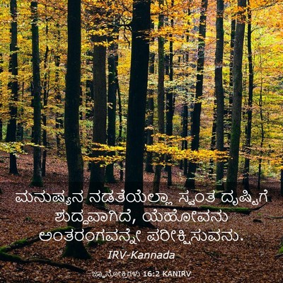 Picture 03 - ಜ್ಞಾನೋಕ್ತಿಗಳು 16:2 KANIRV - ಮನುಷ್ಯನ - Bible Verse Picture