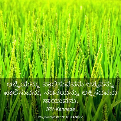 Picture 03 - ಜ್ಞಾನೋಕ್ತಿಗಳು 19:16 KANIRV - ಆಜ್ಞೆಯನ್ನು - Bible Verse Picture