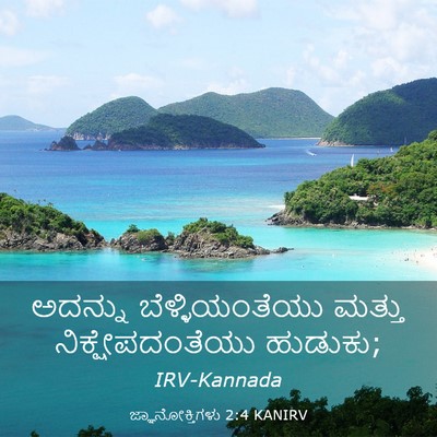 Picture 03 - ಜ್ಞಾನೋಕ್ತಿಗಳು 2:4 KANIRV - ಅದನ್ನು - Bible Verse Picture