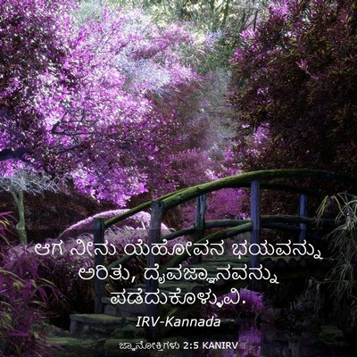 Picture 03 - ಜ್ಞಾನೋಕ್ತಿಗಳು 2:5 KANIRV - ಆಗ ನೀನು ಯೆಹೋವನ - Bible Verse Picture