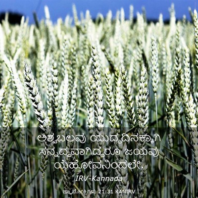 Picture 03 - ಜ್ಞಾನೋಕ್ತಿಗಳು 21:31 KANIRV - ಅಶ್ವಬಲವು - Bible Verse Picture