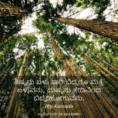Picture 03 - ಜ್ಞಾನೋಕ್ತಿಗಳು 24:16 KANIRV - ಶಿಷ್ಟನು ಏಳು ಸಾರಿ - Bible Verse Picture
