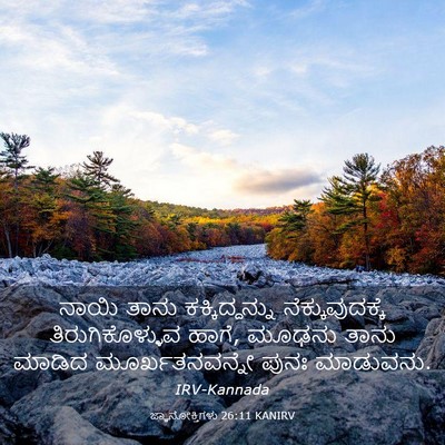 Picture 03 - ಜ್ಞಾನೋಕ್ತಿಗಳು 26:11 KANIRV - ನಾಯಿ ತಾನು - Bible Verse Picture