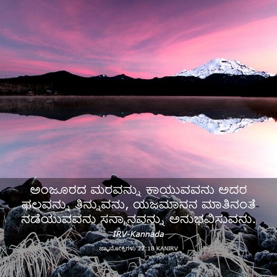 Picture 03 - ಜ್ಞಾನೋಕ್ತಿಗಳು 27:18 KANIRV - ಅಂಜೂರದ ಮರವನ್ನು - Bible Verse Picture