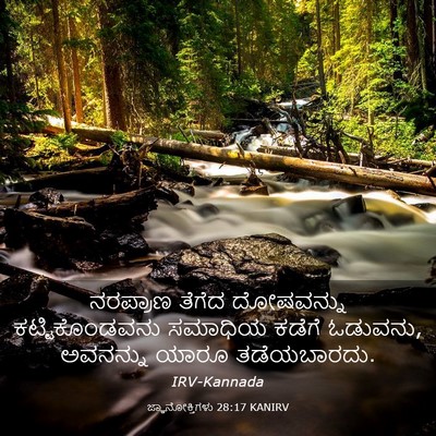 Picture 03 - ಜ್ಞಾನೋಕ್ತಿಗಳು 28:17 KANIRV - ನರಪ್ರಾಣ ತೆಗೆದ - Bible Verse Picture