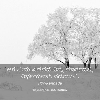 Picture 03 - ಜ್ಞಾನೋಕ್ತಿಗಳು 3:23 KANIRV - ಆಗ ನೀನು ಎಡವದೆ - Bible Verse Picture