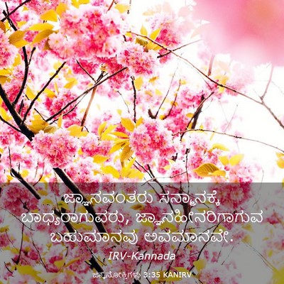 Picture 03 - ಜ್ಞಾನೋಕ್ತಿಗಳು 3:35 KANIRV - ಜ್ಞಾನವಂತರು - Bible Verse Picture