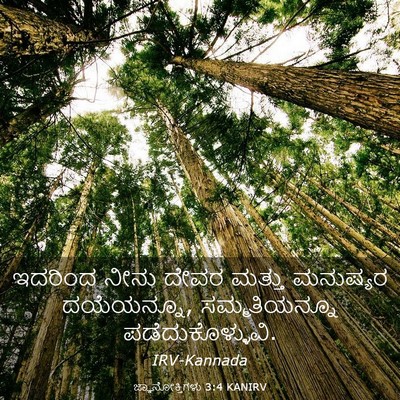 Picture 03 - ಜ್ಞಾನೋಕ್ತಿಗಳು 3:4 KANIRV - ಇದರಿಂದ ನೀನು ದೇವರ - Bible Verse Picture