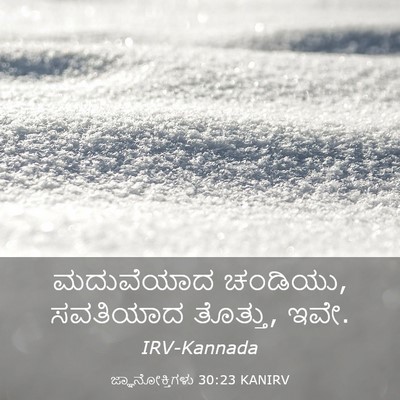 Picture 03 - ಜ್ಞಾನೋಕ್ತಿಗಳು 30:23 KANIRV - ಮದುವೆಯಾದ ಚಂಡಿಯು, - Bible Verse Picture