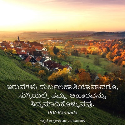 Picture 03 - ಜ್ಞಾನೋಕ್ತಿಗಳು 30:25 KANIRV - ಇರುವೆಗಳು - Bible Verse Picture