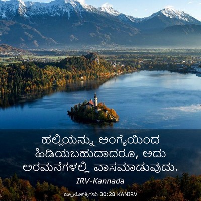 Picture 03 - ಜ್ಞಾನೋಕ್ತಿಗಳು 30:28 KANIRV - ಹಲ್ಲಿಯನ್ನು - Bible Verse Picture