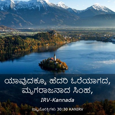 Picture 03 - ಜ್ಞಾನೋಕ್ತಿಗಳು 30:30 KANIRV - ಯಾವುದಕ್ಕೂ ಹೆದರಿ - Bible Verse Picture