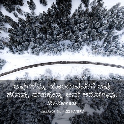 Picture 03 - ಜ್ಞಾನೋಕ್ತಿಗಳು 4:22 KANIRV - ಅವುಗಳನ್ನು - Bible Verse Picture